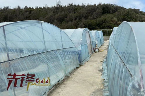 重拳出擊水產(chǎn)投入品法律雷區(qū) 福建嚴查畜牧漁業(yè)飼料銷售