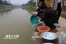 生態(tài)修復(fù)，漁業(yè)振興——浦北縣水產(chǎn)畜牧獸醫(yī)局成功舉辦漁業(yè)資源人工增殖放流活動(dòng)